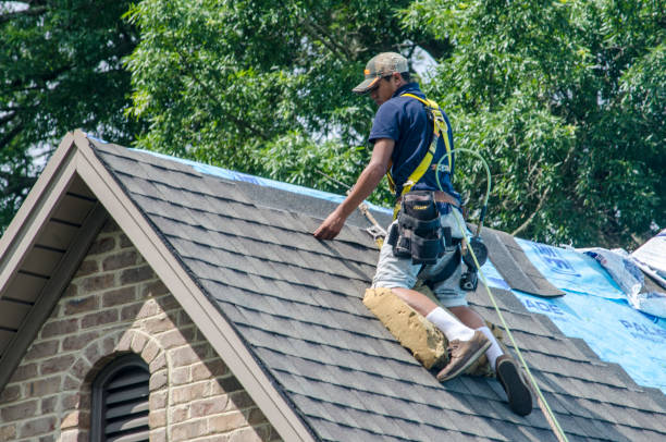 Best Roof Gutter Cleaning  in Joanna, SC